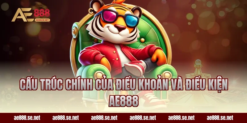 Cấu trúc chính của điều khoản và điều kiện AE888