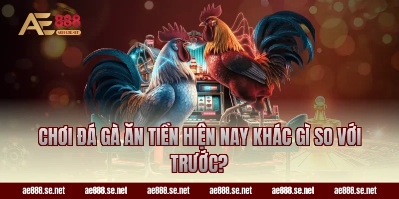 Chơi đá gà ăn tiền hiện nay khác gì so với trước?