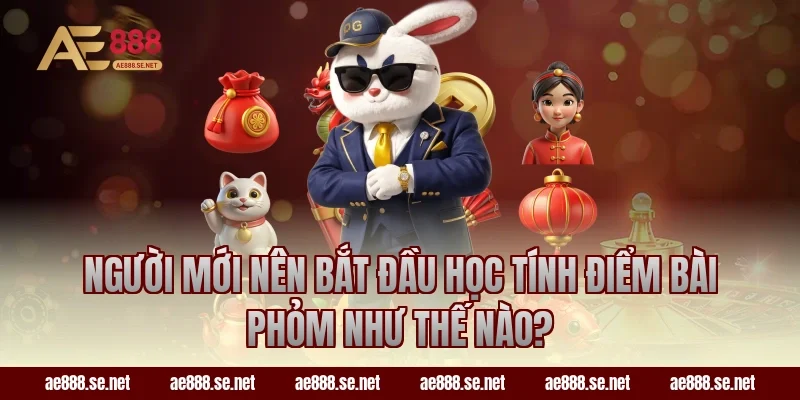 Người mới nên bắt đầu học tính điểm bài Phỏm như thế nào?