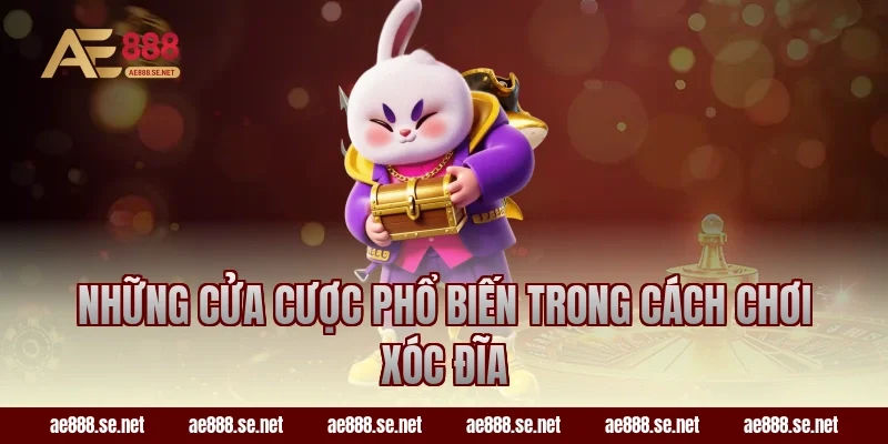 Những cửa cược phổ biến trong cách chơi xóc đĩa
