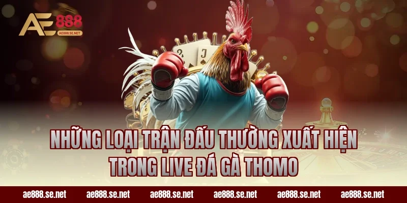 Những loại trận đấu thường xuất hiện trong live đá gà Thomo