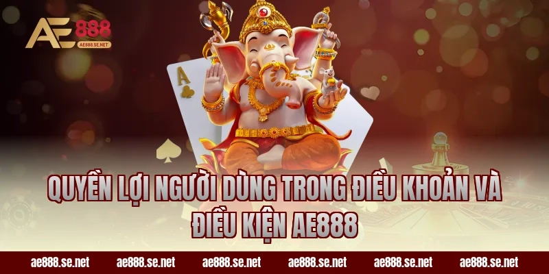 Quyền lợi người dùng trong điều khoản và điều kiện AE888