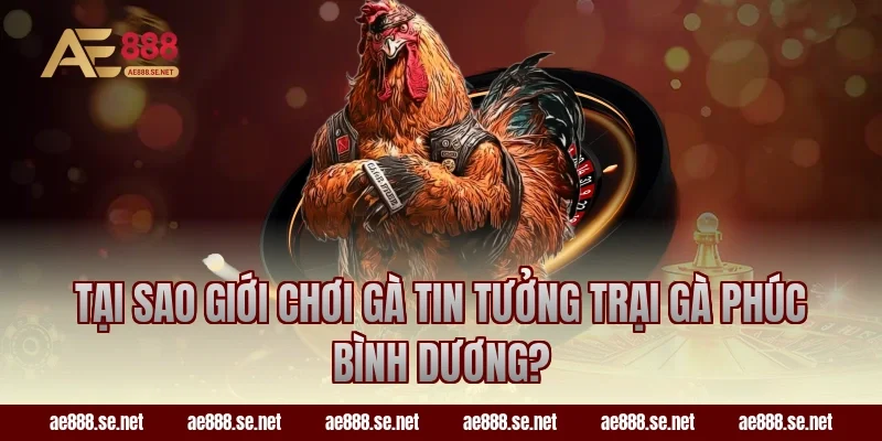 Tại sao giới chơi gà tin tưởng trại gà Phúc Bình Dương?