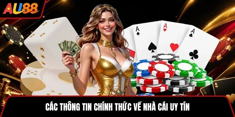 Thông tin tổng quan về nhà cái AE888